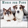 Music For Pets、Pet Care Club、Sleeping Music For Dogs - Sleeping Music For Pets and Animals