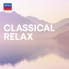 Academy of St. Martin in the Fields、Neville Marriner - Satie: Gymnopédie No.3 (Orch. Debussy)