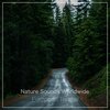 Nature Sounds Worldwide - Holiday