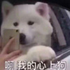 柒沨 - 爱情慢慢来