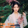 苏洛洛 - 来迟 (甜美女声版)