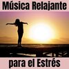 Relajacion Ambiental - Calcular