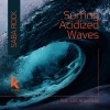 Saba Rock、Las Atlanticas、Dr Whait、instrumental、Mephia《Surfing Acidized Waves》[MP3/LRC]