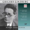 Grigory Ginzburg、Aron Shereshevsky、Russian State Symphony Orchestra - Piano Concerto No. 4 in D Minor, Op. 70: I. Moderato