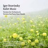 Sinfonieorchester Basel、Dennis Russell Davies - The Rite of Spring: Pt. 1, Adoration of the Earth