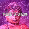 White Noise Meditation - Lost in the Forest