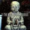 White Noise Meditation - Captivated