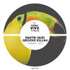 Dmitri Saidi、Groove Killah - El Camichin