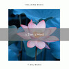 Zen Minds - Lovely Sea Sounds of Hard Relax with Cicadas pt. 1