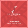 Cosmocomics - Sweet Chilly Breeze (Original Mix)