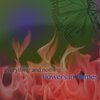 Flowers In Flames - Without Pity