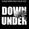 robin hirte、Colin Hay - Down Under (Robin Hirte Remix)