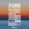 Alex Gaudino、bottai、Stevie Appleton《Do It Again (feat. Stevie Appleton)》[MP3/LRC]