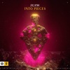 JGSW - Into Pieces