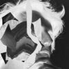 Charles Oliver - Saturation of Self
