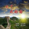 应丽琴、朱浩宇 - 火了我的国