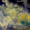 Absence Of Doubt、Crystin - Flight of the Bluebird