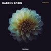 Gabriel Rosin - Fantasy