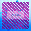 Matt Sumrow、Joshua Stoddard - Vine