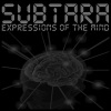 Subtara - Winter Break