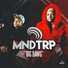 Mindtrip - BIG DAWG (Explicit)