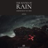 힐링 네이쳐 Nature Sound Band - 그리운 당신을 생각나게 하는 빗소리 The sound of rain reminds me of you I miss