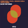 Robbie Rivera、PAUZA、David Tort - Agua Pa Beber (David Tort Extended Remix)