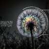 colorless - INTRUSIVE AGITATION (Explicit)