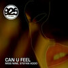 Miss Nine、Stefan Addo - Can You Feel