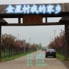 画桥烟柳 - 金星村我的家乡