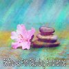 White Noise Meditation - Search Inside