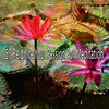 White Noise Meditation - Balancing the Calm