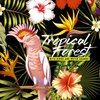 Nature Music Sanctuary - Pure Pleasure