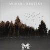 MuraD - Destiny