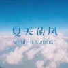 赵方婧 - 夏天的风