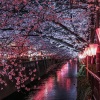 星乃一歌 - Sakura Wars -REIWA ROMAN-