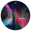 belocca《Flower Of Life》[MP3/LRC]