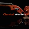 christopher williams - Symphony No. 5 in C minor, Op. 67 (Piano Version)