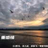 DJ野马、小阿菲、赵俊飞、电音马哥 - 不删 (DJ版)