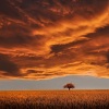 Sleepy Times、Chillout Lounge、Yoga Workout Music - Mistral Winds