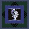 Gamera - Music for Plants