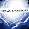 Gojiakanuggi - Птица в небесах