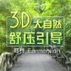 耳界_Earmersion - 花海冥想丨来到山间，享受着如梦如画的美景