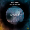 Karol Diac、Brezy Biran、Bruce Blayne - Feeling