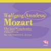 jos van immerseel、Wolfgang Amadeus Mozart、Anima Eterna Brugge - Symphony No. 40 in G Minor, K. 550: I. Molto allegro