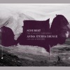 jos van immerseel、Franz  Schubert、Anima Eterna Brugge - Sinfonie No. 8 in B Minor, D. 759 