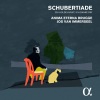 jos van immerseel、Franz  Schubert、Anima Eterna Brugge - I. Allegro vivace
