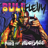 VilleGalle、PapiPike - BULIFLEIM