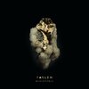 Audionoble - Fallen
