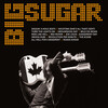 Big Sugar - Diggin' A Hole (Edit)